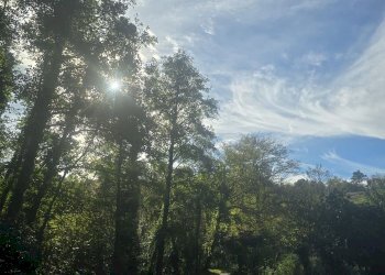 Villa Unifamiliare VIA SUPERIORE DELL'OLBA, Genova - foto 3