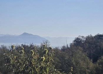 Villa Unifamiliare VIA SUPERIORE DELL'OLBA, Genova - foto 8