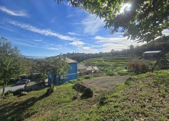 Villa Unifamiliare VIA SUPERIORE DELL'OLBA, Genova - foto 16