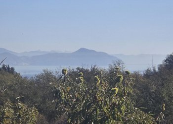 Casa indipendente VIA SUPERIORE DELL'OLBA, Genova - foto 3