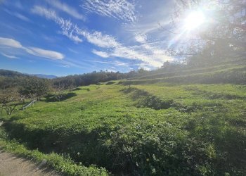 Casa indipendente VIA SUPERIORE DELL'OLBA, Genova - foto 6