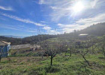 Casa indipendente VIA SUPERIORE DELL'OLBA, Genova - foto 12