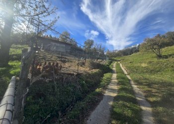 Casa indipendente VIA SUPERIORE DELL'OLBA, Genova - foto 13