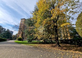 Trilocale Via degli astri, Milano (zona Inganni) - foto 2