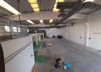 Capannone Modena (zona Circoscrizione 1) - foto 6