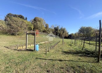 Casa indipendente Stradale Alessandria, Acqui Terme - foto 4