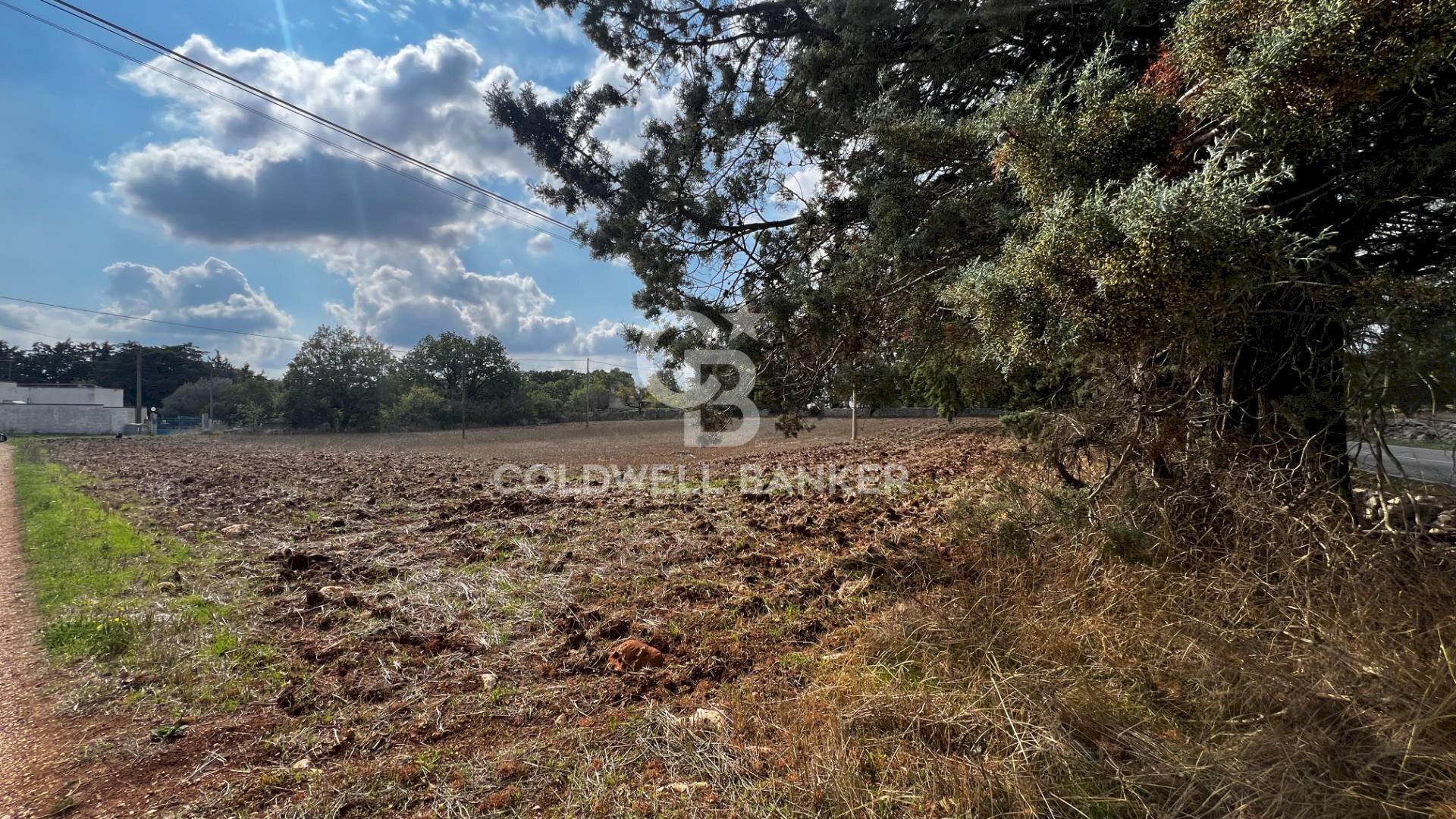 Foto 1 - Agricultural land Contrada Marzagaglia, Gioia del Colle - photo 1