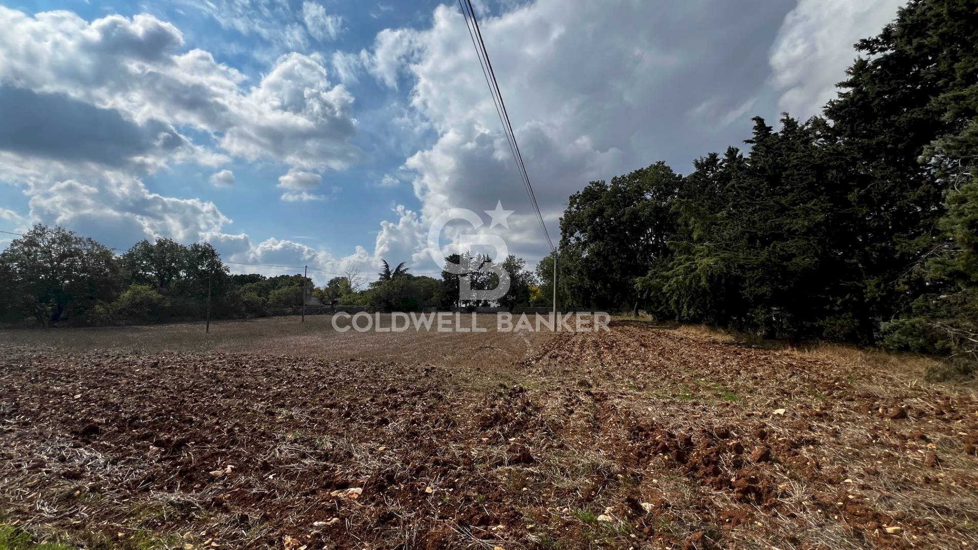 Foto 2 - Agricultural land Contrada Marzagaglia, Gioia del Colle - photo 2