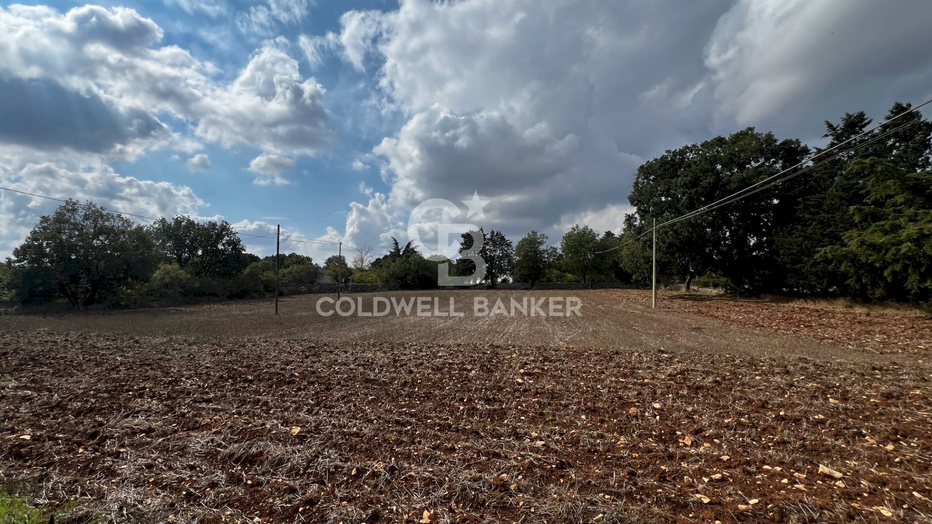 Foto 3 - Agricultural land Contrada Marzagaglia, Gioia del Colle - photo 3