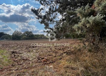 Foto 1 - Terreno agricolo Contrada Marzagaglia, Gioia del Colle - foto 1