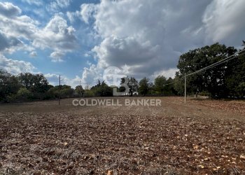 Foto 3 - Terreno agricolo Contrada Marzagaglia, Gioia del Colle - foto 3