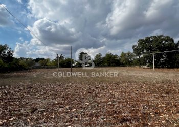 Foto 4 - Terreno agricolo Contrada Marzagaglia, Gioia del Colle - foto 4