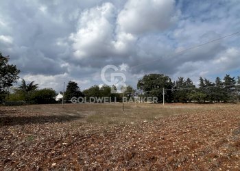 Foto 5 - Terreno agricolo Contrada Marzagaglia, Gioia del Colle - foto 5