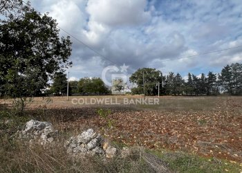 Foto 6 - Terreno agricolo Contrada Marzagaglia, Gioia del Colle - foto 6