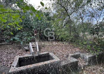 Foto 7 - Terreno agricolo Contrada Marzagaglia, Gioia del Colle - foto 7