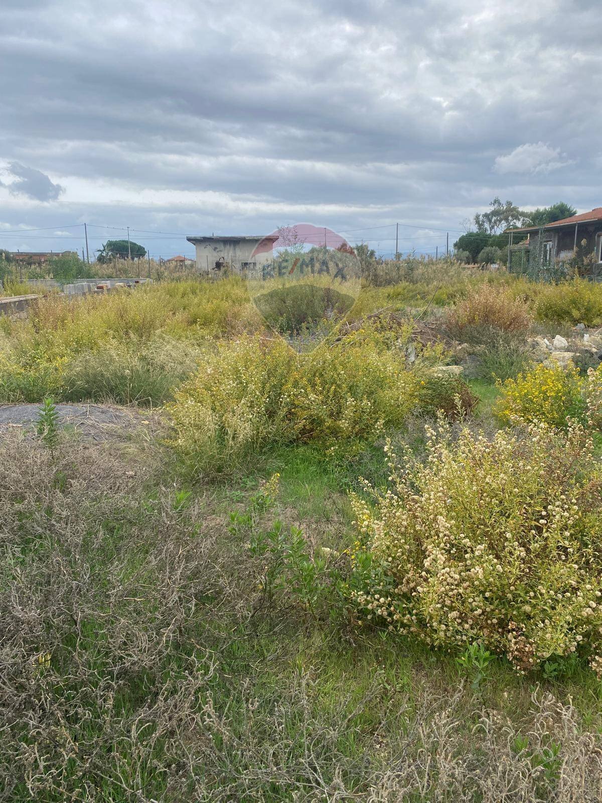 Giardino - Terreno agricolo via Della Sequoia Vaccarizzo, Catania - foto 2