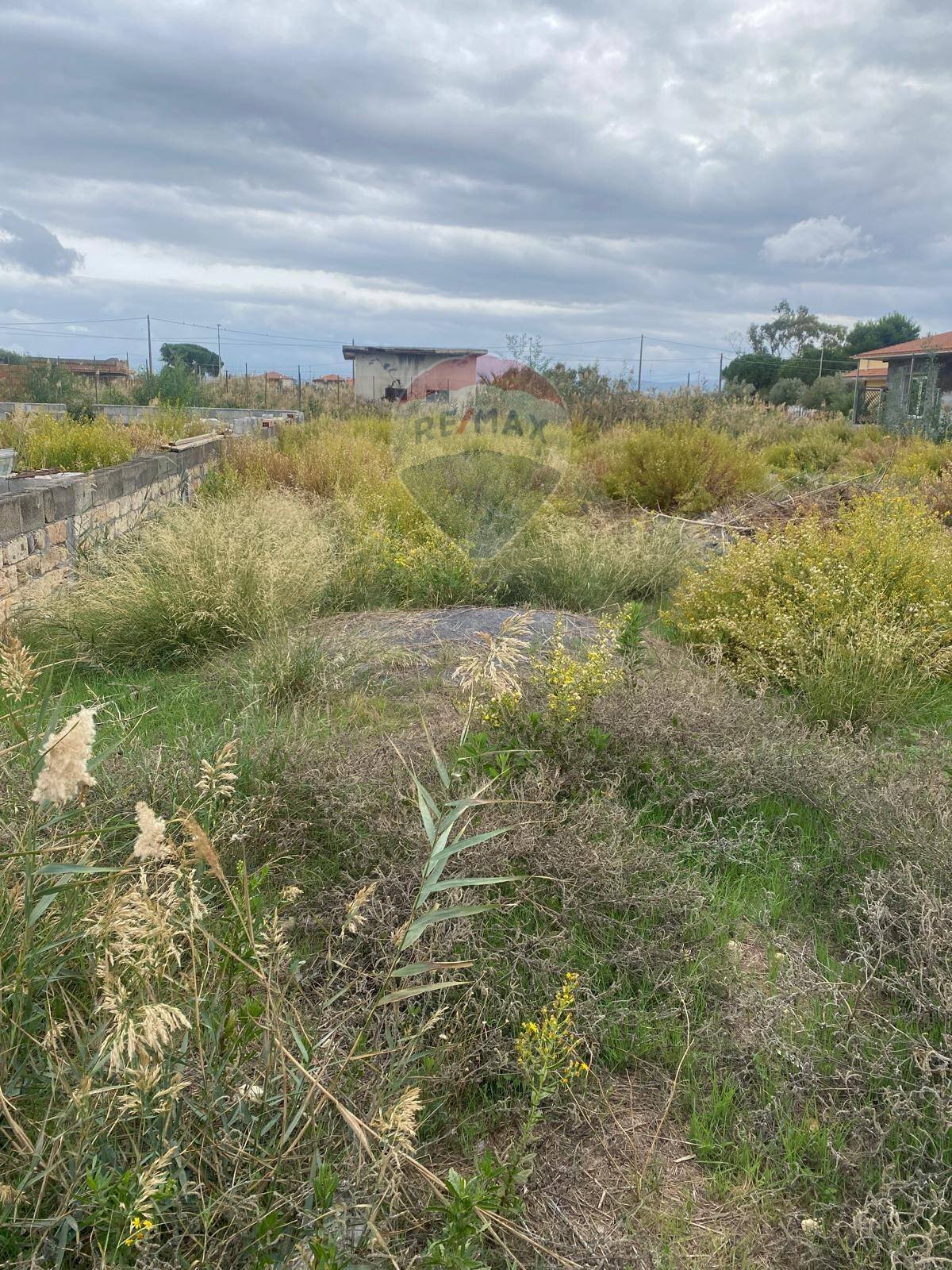 Giardino - Terreno agricolo via Della Sequoia Vaccarizzo, Catania - foto 3