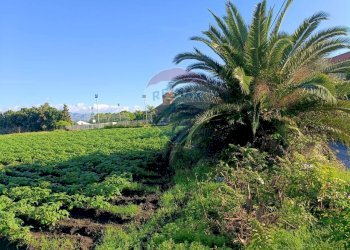 Giardino - Terreno edificabile strada 28 Mario Carbonaro
sn, Riposto - foto 4