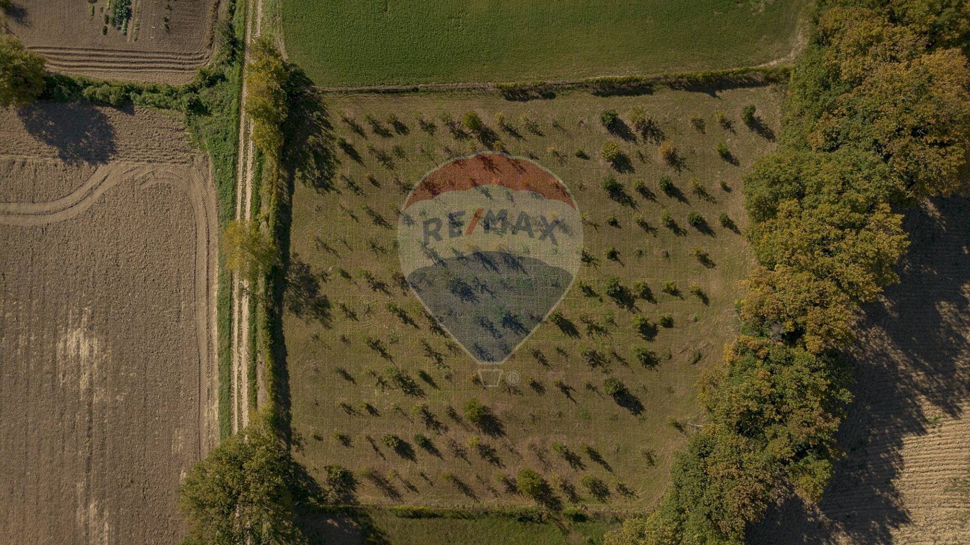 Posizione della mappa - Terreno agricolo frazione catobagli
 
53, Sassoferrato - foto 3