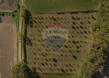 Posizione della mappa - Terreno agricolo frazione catobagli
 
53, Sassoferrato - foto 3