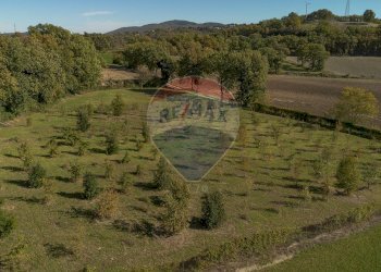 Vista delle montagne - Terreno agricolo frazione catobagli
 
53, Sassoferrato - foto 4