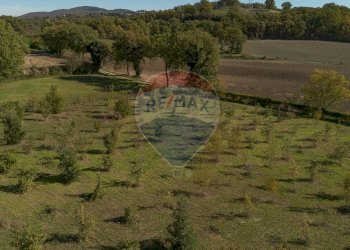 Vista delle montagne - Terreno agricolo frazione catobagli
 
53, Sassoferrato - foto 6