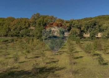 Vista delle montagne - Terreno agricolo frazione catobagli
 
53, Sassoferrato - foto 7