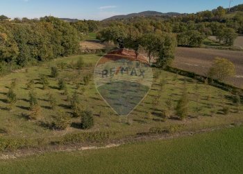 Vista delle montagne - Terreno agricolo frazione catobagli
 
53, Sassoferrato - foto 8