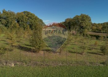 Vista delle montagne - Terreno agricolo frazione catobagli
 
53, Sassoferrato - foto 9