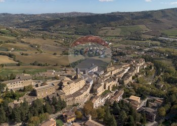 Vista delle montagne - Independent house Armando Cruciani
6, Serra San Quirico - photo 40