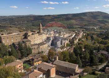 Vista delle montagne - Independent house Armando Cruciani
6, Serra San Quirico - photo 41