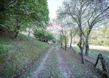 Giardino - Rustico PODERE MORETA PARROCCHIA SANTA MARIA IN GIRONE
 
24, Portico e San Benedetto - foto 54