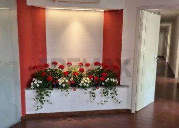 Hall / corridoio - Ufficio Viale Italia
 
119, Forlì - foto 10