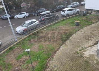 Giardino - Capannone VIA BARZANTI
 
11, Forlì - foto 12