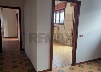 Hall / corridoio - Capannone VIA BARZANTI
 
11, Forlì - foto 18