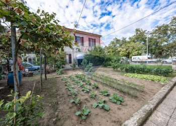 Giardino - Casa semi indipendente via Brando Brandi
 
34, Forlì - foto 10