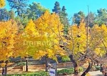 Foto 9 - Quadrilocale Viale San Francesco, Penne - foto 9