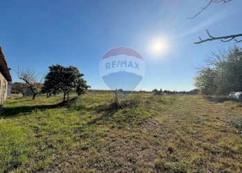 Giardino - Terreno agricolo Via Del Torraccio
 
53, Roma - foto 2