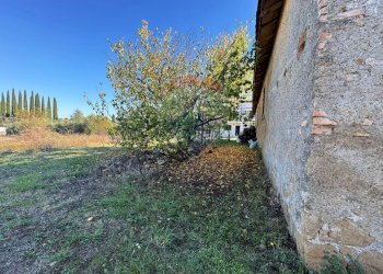 Giardino - Terreno agricolo Via Del Torraccio
 
53, Roma - foto 4