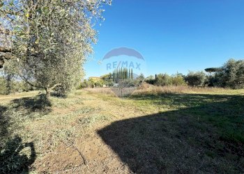 Giardino - Terreno agricolo Via Del Torraccio
 
53, Roma - foto 7