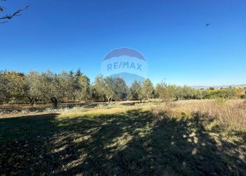 Giardino - Terreno agricolo Via Del Torraccio
 
53, Roma - foto 11