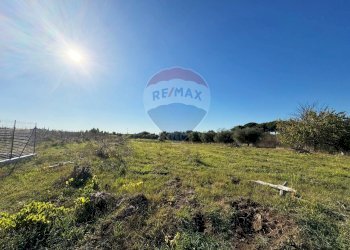 Vista delle montagne - Terreno agricolo Via Del Torraccio
 
53, Roma - foto 12