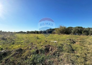 Vista delle montagne - Terreno agricolo Via Del Torraccio
 
53, Roma - foto 13