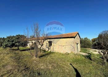 Casa all\'aperto - Terreno agricolo Via Del Torraccio
 
53, Roma - foto 14