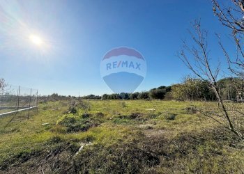 Vista delle montagne - Terreno agricolo Via Del Torraccio
 
53, Roma - foto 15