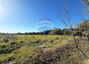 Vista delle montagne - Terreno agricolo Via Del Torraccio
 
53, Roma - foto 16