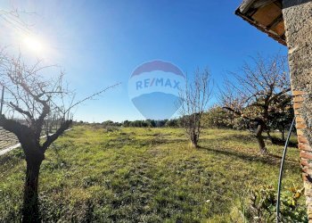 Giardino - Terreno agricolo Via Del Torraccio
 
53, Roma - foto 17