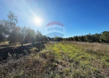 Vista delle montagne - Terreno agricolo Via Del Torraccio
 
53, Roma - foto 19