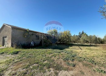 Giardino - Terreno agricolo Via Del Torraccio
 
53, Roma - foto 22