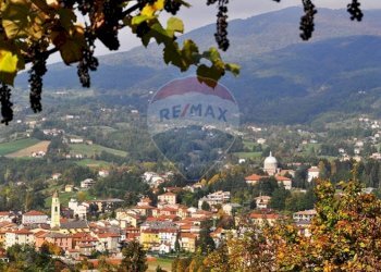 Vista delle montagne - Rustico CANESO
 
43, Bedonia - foto 5